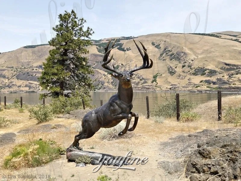 Bronze Mule Deer Sculpture (7)