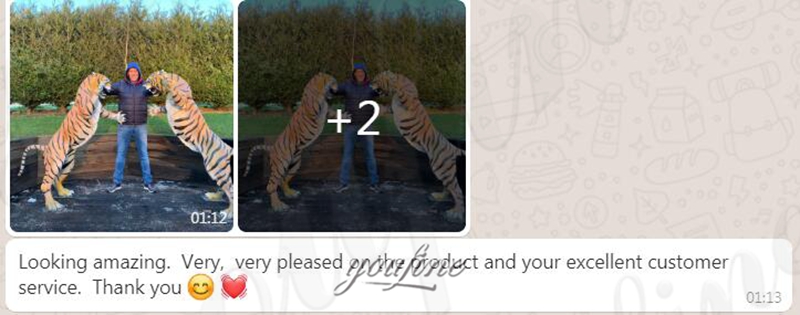 Customer Feedback of Bronze Tiger