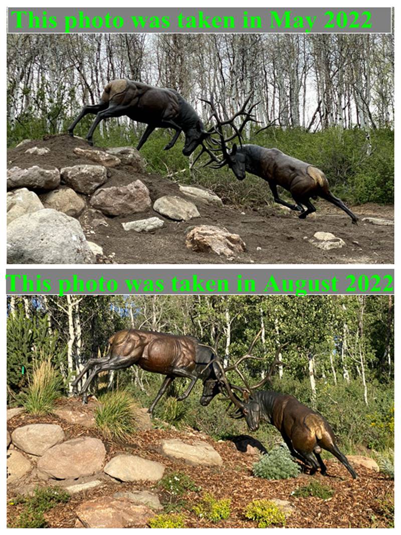 Feedback of Bronze Elk Statue