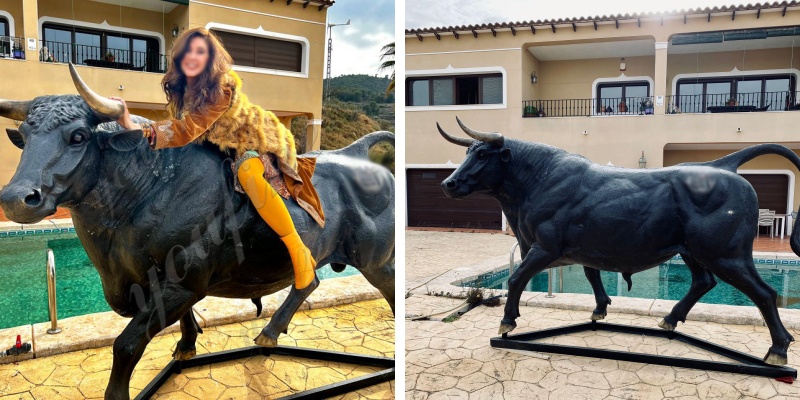 Bull Statue Feedback from Spanish Customers