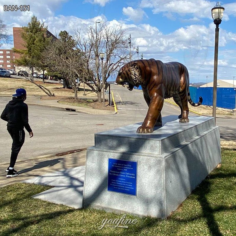 big tiger statue in school