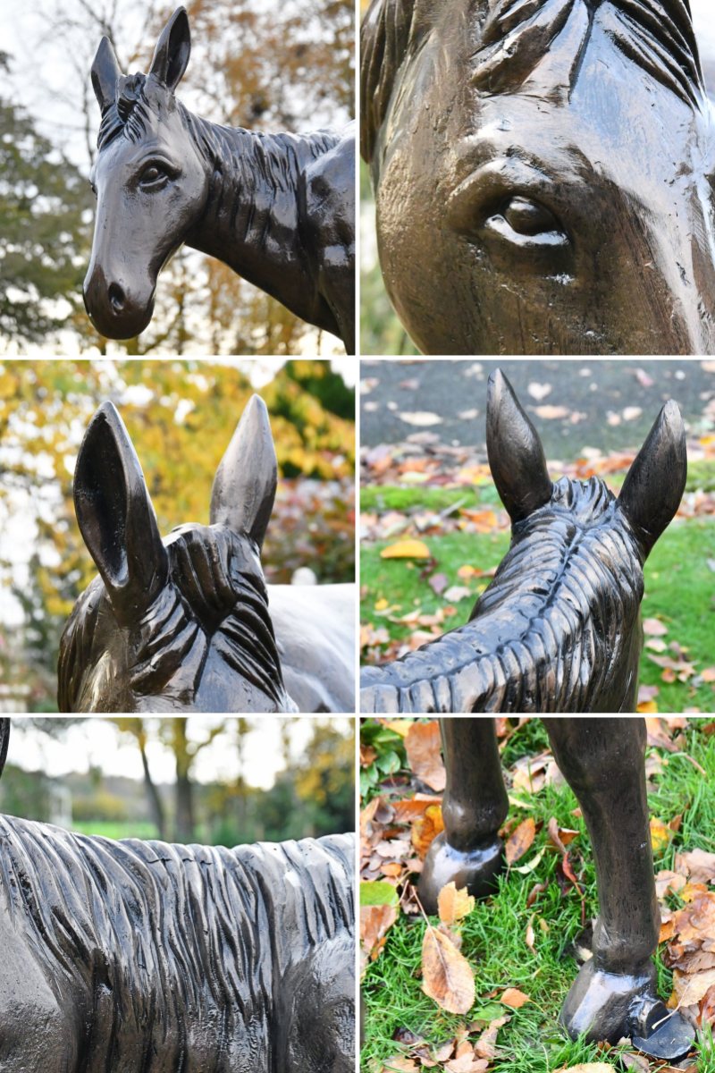 burro statue details