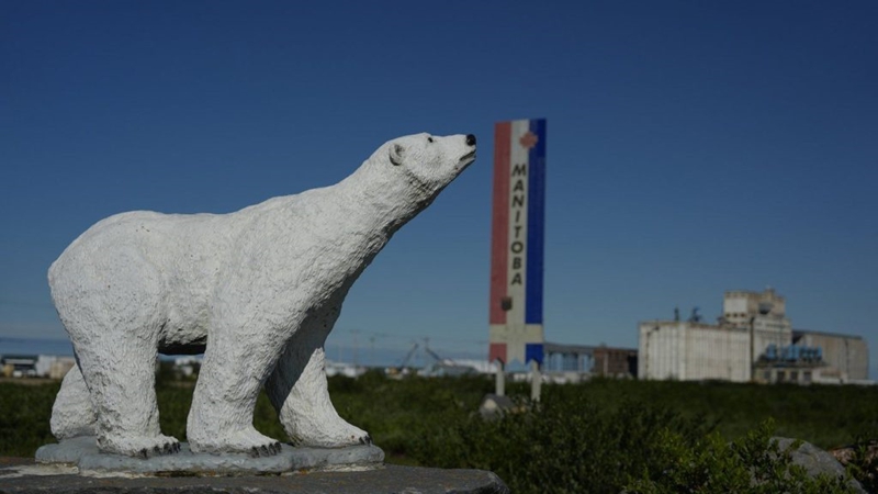 polar-bear- statue