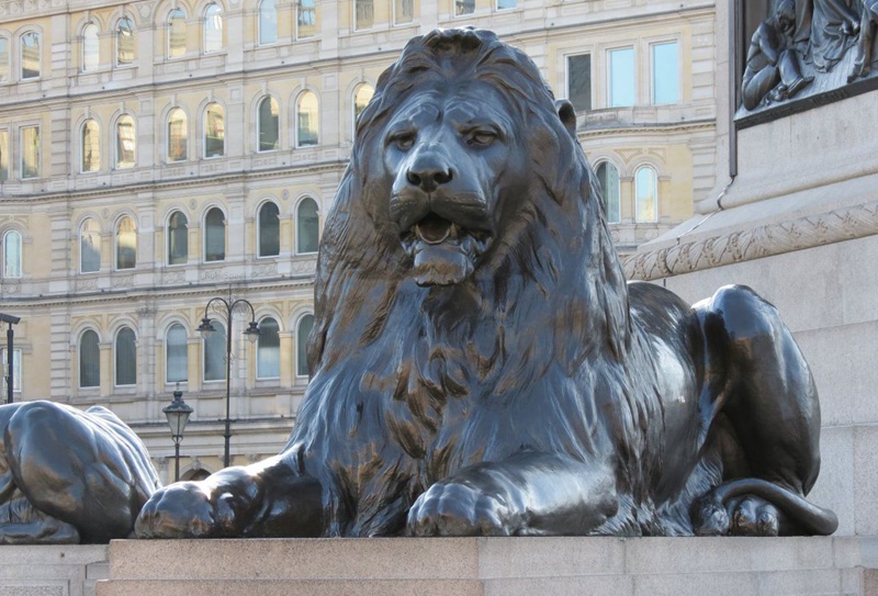 the lion of Trafalgar Square in London