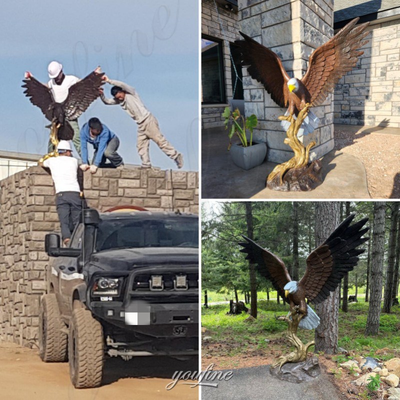 bald eagle statue feedback