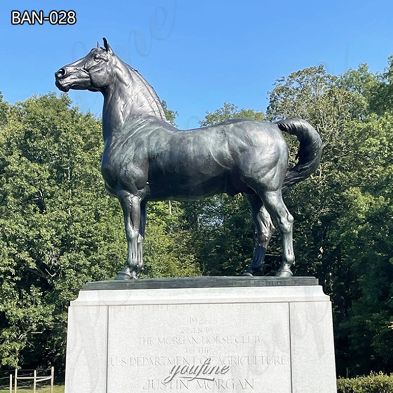 Bronze Morgan Horse Statue (1)